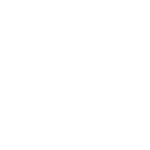 Roeselare (opens in a new tab)